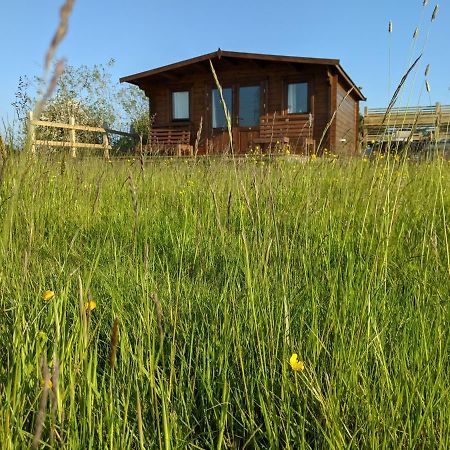 Foxhill Lodges كانتربيري المظهر الخارجي الصورة